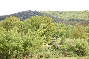 View from the terrace of the holiday house