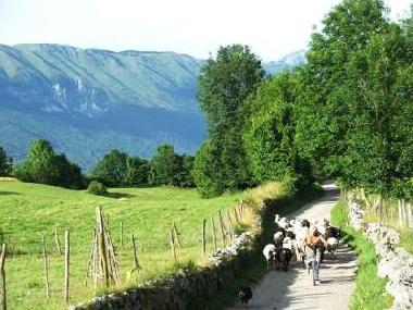 Holiday Apartment in Robidisce (Kobarid) or holiday homes and vacation rentals