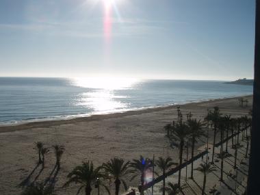 Holiday Apartment in Playa de San Juan (Alicante / Alacant) or holiday homes and vacation rentals