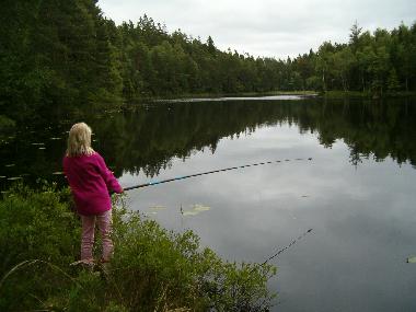 fishing in a small lake