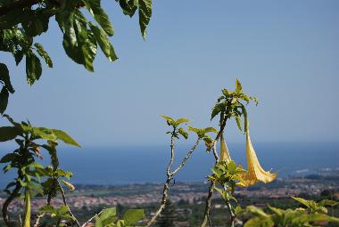 Holiday House in Mascali (Catania) or holiday homes and vacation rentals