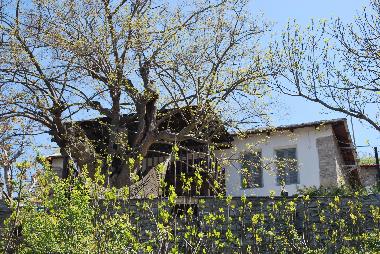 General view of the house