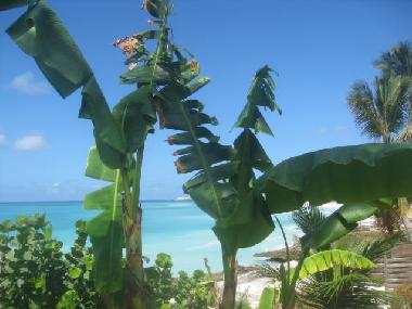 Villa in SINT MAARTEN (Sint Maarten) or holiday homes and vacation rentals