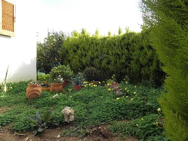 Holiday Apartment in RETHYMNON (Rethymni) or holiday homes and vacation rentals