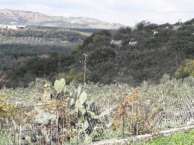 Holiday Apartment in RETHYMNON (Rethymni) or holiday homes and vacation rentals