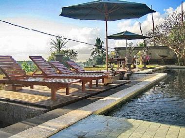 Sun loungers.