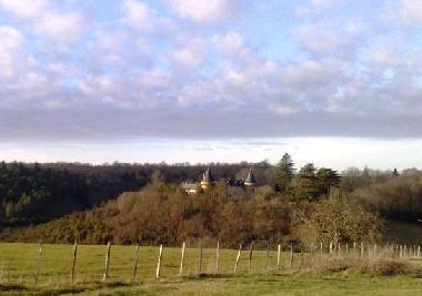 Views From Your Terrace