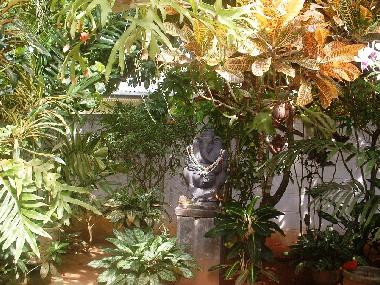 Holiday Apartment in Induruwa (Kalutara) or holiday homes and vacation rentals