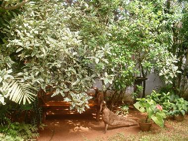 Holiday Apartment in Induruwa (Kalutara) or holiday homes and vacation rentals