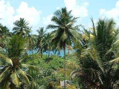 Holiday Apartment in Induruwa (Kalutara) or holiday homes and vacation rentals