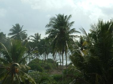 Holiday Apartment in Induruwa (Kalutara) or holiday homes and vacation rentals