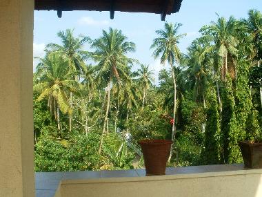 Holiday Apartment in Induruwa (Kalutara) or holiday homes and vacation rentals