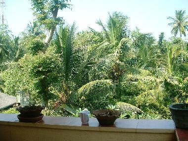 Holiday Apartment in Induruwa (Kalutara) or holiday homes and vacation rentals