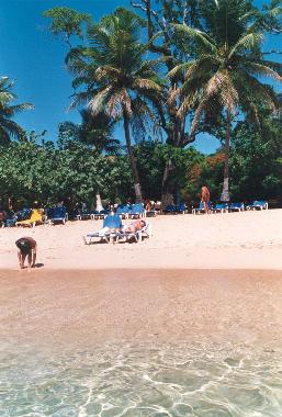 Holiday Apartment in SOSUA (Puerto Plata) or holiday homes and vacation rentals