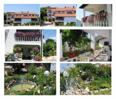 Holiday Apartment in Porec (Istarska) or holiday homes and vacation rentals