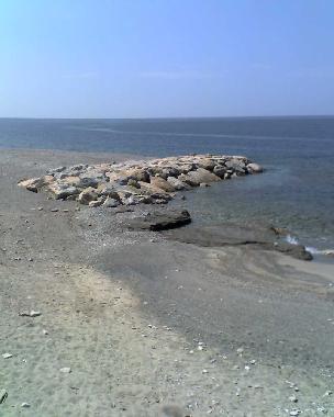 the beach