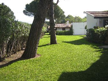 Bed and Breakfast in Paestum - Capaccio (Salerno) or holiday homes and vacation rentals