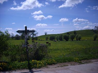 Holiday House in Bansow (Mecklenburgische Seenplatte) or holiday homes and vacation rentals