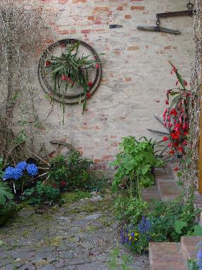 Holiday House in Bansow (Mecklenburgische Seenplatte) or holiday homes and vacation rentals