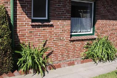 Holiday House in Carolinensiel (Nordsee-Festland / Ostfriesland) or holiday homes and vacation rentals