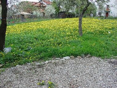 Holiday House in Dragushinovo  (Sofiya) or holiday homes and vacation rentals
