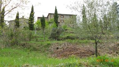 Holiday House in faltona (Arezzo) or holiday homes and vacation rentals