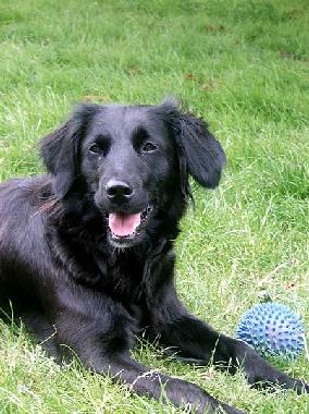 Holiday Apartment in Norden-Neuwesteel (Nordsee-Festland / Ostfriesland) or holiday homes and vacation rentals