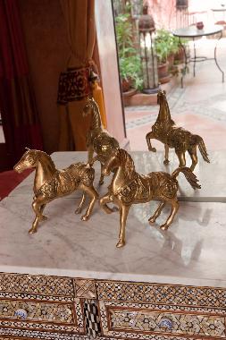 Holiday House in Marrakech (Marrakech) or holiday homes and vacation rentals