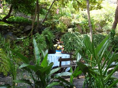 Holiday House in Ribeira Brava (Madeira) or holiday homes and vacation rentals