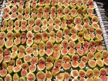 Holiday House in Ceglie Messapica (Brindisi) or holiday homes and vacation rentals