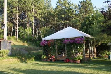 gazebo with kitchen