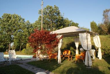 Gazebo near swimming pool