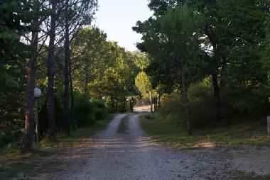 road entrance to the villa