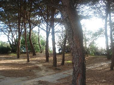 Holiday Apartment in Praialonga (Crotone) or holiday homes and vacation rentals