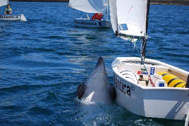 Holiday Apartment in Ezaro (A Corua) or holiday homes and vacation rentals