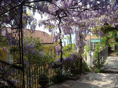 Holiday Apartment in Varenna (Lecco) or holiday homes and vacation rentals