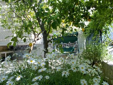 Holiday Apartment in Trani (Bari) or holiday homes and vacation rentals