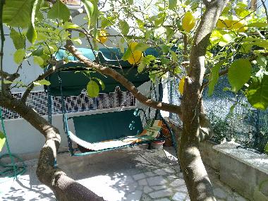 Holiday Apartment in Trani (Bari) or holiday homes and vacation rentals