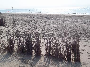 Holiday House in De Haan (Flanders) or holiday homes and vacation rentals