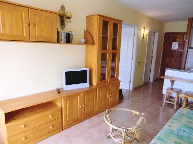 Holiday Apartment in Los Christianos (Teneriffa) or holiday homes and vacation rentals