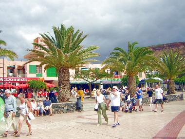 Holiday Apartment in Los Christianos (Teneriffa) or holiday homes and vacation rentals