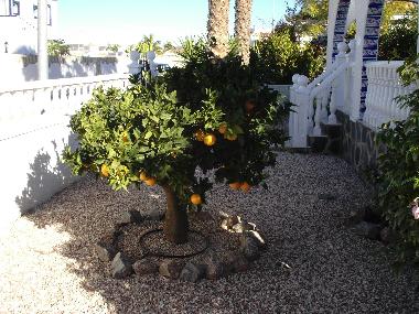 Holiday House in Mazarron (Murcia) or holiday homes and vacation rentals
