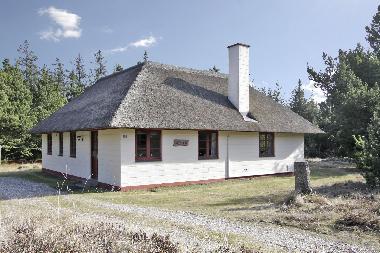Holiday House in Blaavand (Ribe) or holiday homes and vacation rentals