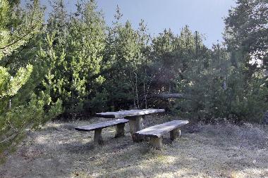 Holiday House in Blaavand (Ribe) or holiday homes and vacation rentals