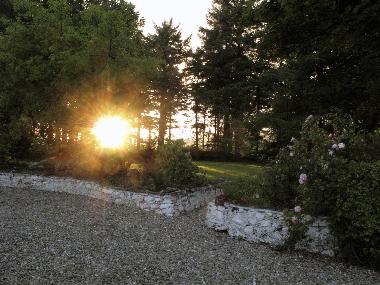 Ardroe cottage tree sheltered garden 