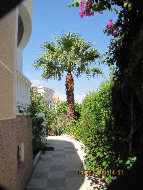 Holiday House in urb. La Marina (Murcia) or holiday homes and vacation rentals