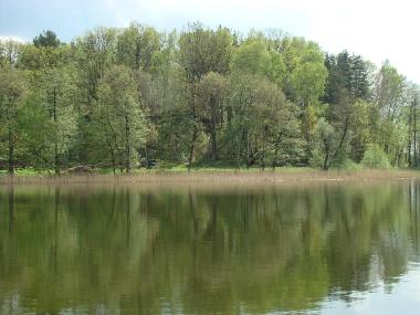 Bed and Breakfast in Tomaszkowo (Warminsko-Mazurskie) or holiday homes and vacation rentals