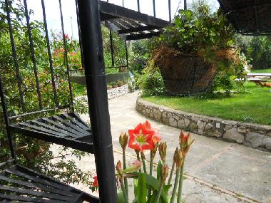 Holiday House in Massalubrense (Napoli) or holiday homes and vacation rentals