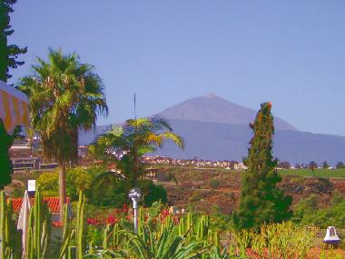 Holiday Apartment in Puerto de la Cruz (Teneriffa) or holiday homes and vacation rentals