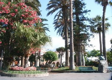 Holiday Apartment in Puerto de la Cruz (Teneriffa) or holiday homes and vacation rentals